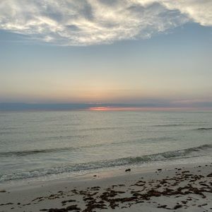 Meet your Posher, Savannah